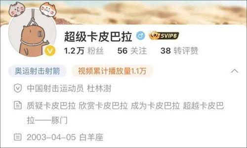 皮哥爆料视频大全下载最新,揭秘娱乐圈最新动态  第3张